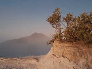 20190726_051641