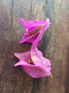 20190801_095152