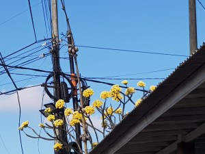 20190801_164030